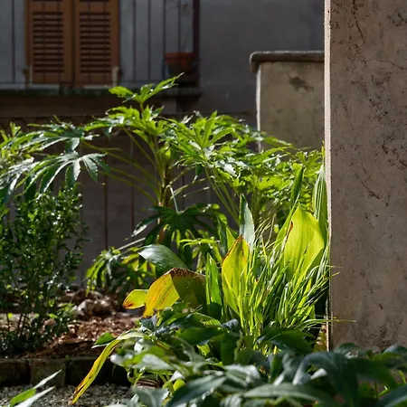3 Bedrooms Old Town Secret Gem With Private Garden *